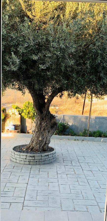Feriehus Secret Edem Kolymbia